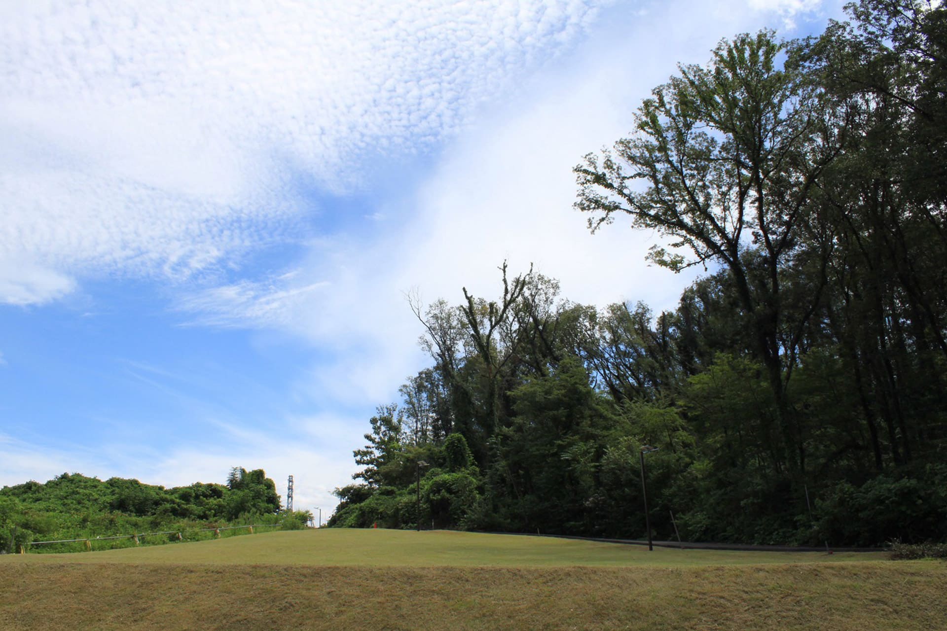 公共施設・公園管理