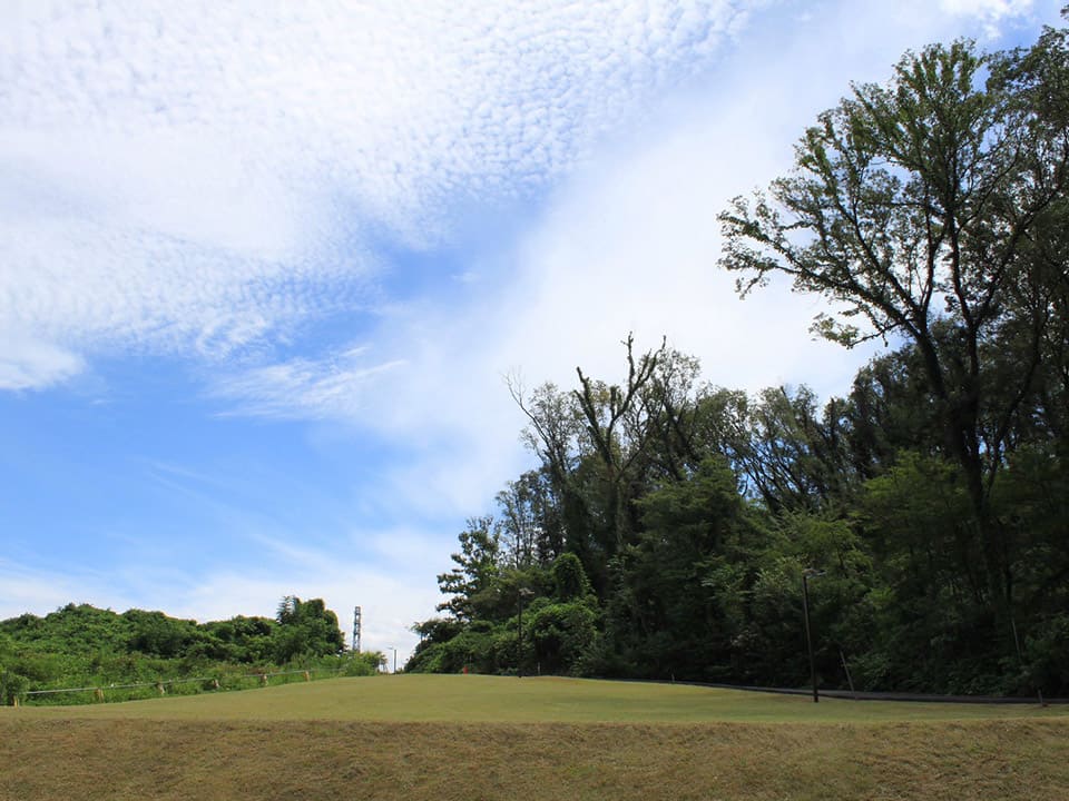 公共施設・公園管理